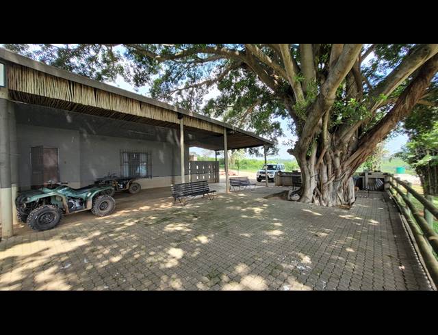 24HA FARM FOR SALE IN WHITE RIVER RURAL